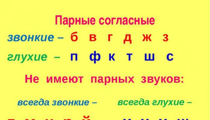 Сколько гласных и согласных букв в русском алфавите?