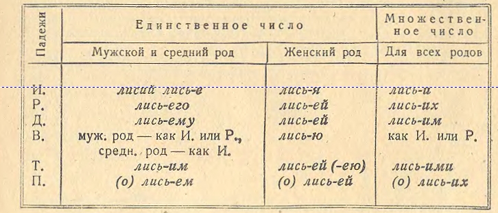 Лиса в мужском роде. Склонение прилагательных на ий. Склонение притяжательных прилагательных таблица. Прилагательные притяжательные по родам. Прилагательное женского рода от слова лиса.